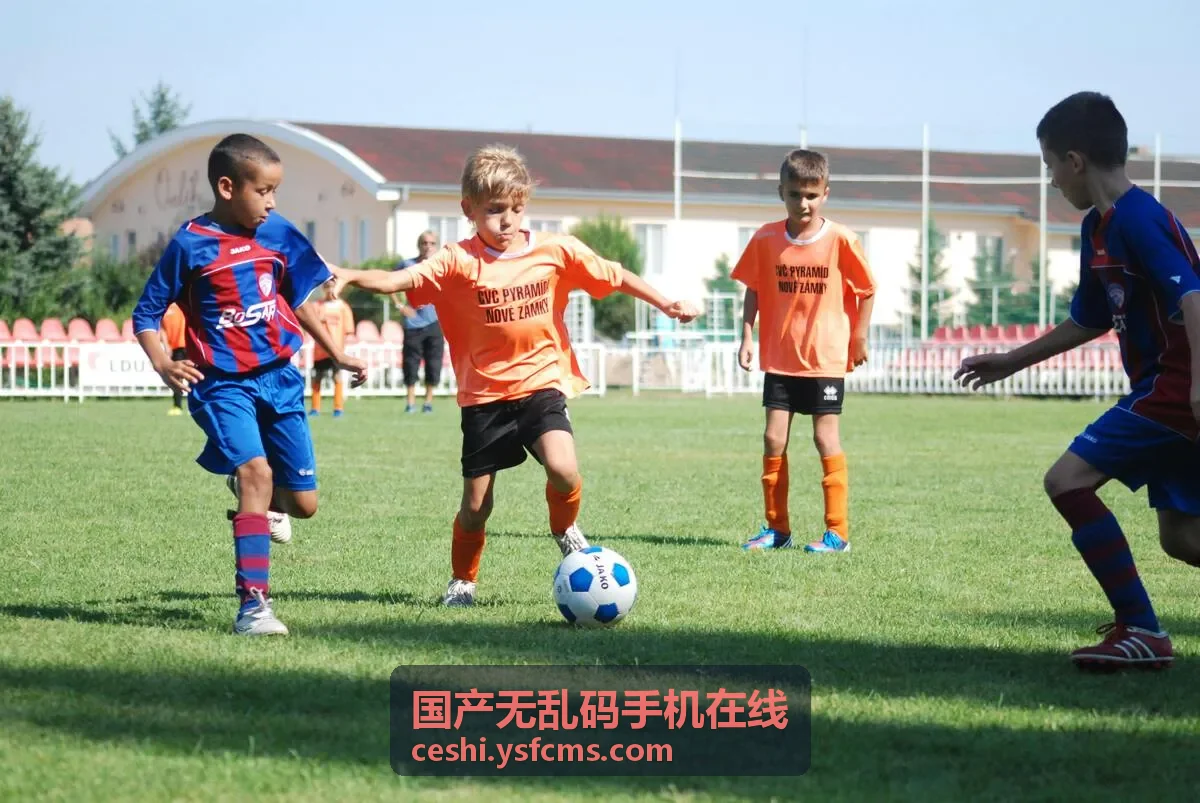 国产无乱码手机在线精选推荐 - 高清影视资源