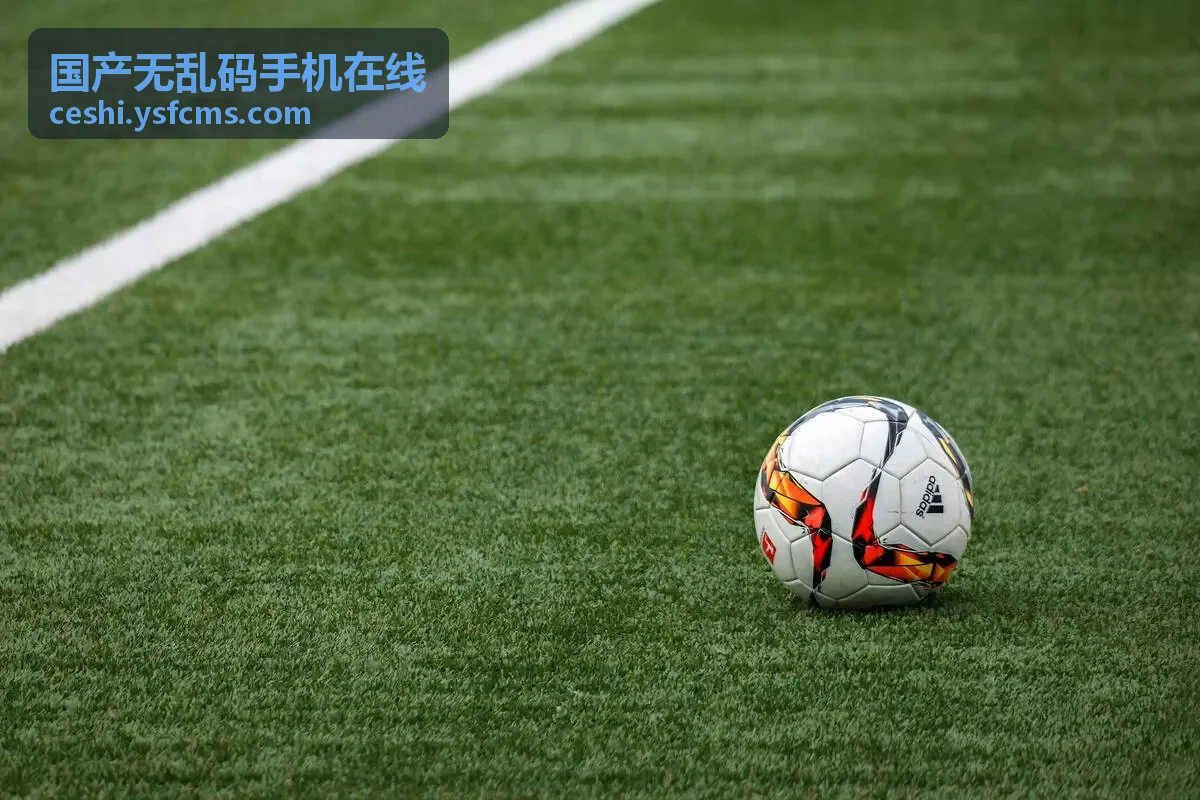 国产无乱码手机在线精选推荐 - 经典重温系列